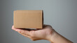 A simple brown cardboard box rests on top of a hand. Small box with natural texture and no additional finishing.
The image can be used for advertisements for products that care about sustaiArte com IR