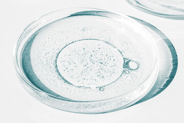 Wall Mural - Petri dish. Petri's cup with liquid. Chemical elements, oil, cosmetics. Gel, water, molecules, viruses. Close-up. On a white background.