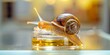 © Julia Ahanova - Concept of Snail Mucin or Snail Secretion Filtrate. A snail crawling on a serum glass bottle with a dropper