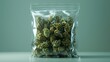 Marijuana in a clear plastic bag, neutral background, soft focus, emphasis on medicinal use , clip art, 8K , high-resolution, ultra HD,up32K HD