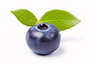 Single blueberry fruit with leaf on white background