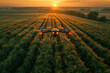 Drone hovering above agricultural field at dusk