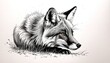   A black-and-white drawing of a fox in the grass, head turned sideways, eyes open
