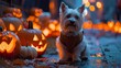 White terrier in devil costume beside glowing jack-o'-lanterns