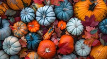 A Group Of Pumpkins And Gourds