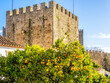 Tower of Obidos Castle in Portugal