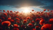 Realistic Illustration For Anzac Day With The Scene Of A  Field Of Red Poppies.
