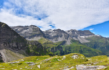 scenic landscape with the alps and a green meadow in the foreground