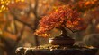 © Suradet Rakha - Magnificent bonsai photos