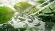 Natural skincare with key ingredients in a pipette. Green leaves and water drops enhance the organic concept. Up-close shot highlights the essence of the liquid.