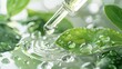 Natural skincare with key ingredients in a pipette. Green leaves and water drops enhance the organic concept. Up-close shot highlights the essence of the liquid.