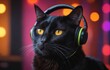 Black cat with headphones listening to music