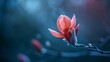 Single blossom breaking free from the confines of a bud, symbolizing growth, renewal, and the beauty of new beginnings. unfolding petals.