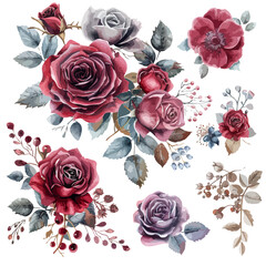 Wall Mural - Burgundy rose flower arrangement collection with watercolor
