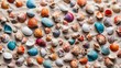 background of colorful seashells laid on sand