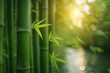 Fototapeta  - Bamboo stems and leaves as a whole