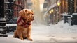 Cold weather charm: Cute puppy with a sweet nose, captivated by the snowy surroundings. A small domestic pet experiencing the wonders of winter outdoors.