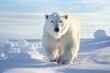 polar bear in snowy landscape with thick fur providing a stark contrast pristine white surroundings. bears resilience in Arctic climate and the details of its paw prints in the fresh snow