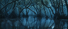 Spooky Dark Tropical Forest, Scary Woods With Strange Mangrove Trees, Panoramic View Of Gloomy Fairy Tale Jungle. Concept Of Fantasy, Nature, Horror, Movie, Swamp.