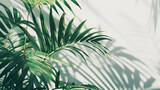 Fototapeta  - Palm leaves isolated on white background