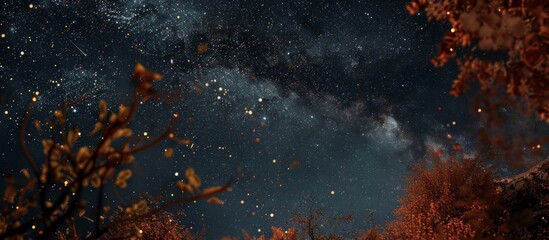 Wall Mural - Scenic view of a dark night sky filled with numerous bright stars above a forest of tall trees