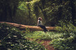 © Juan - woman sitting on fallen tree in the middle of enchanted and misty forest