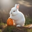 A fluffy white bunny with a fluffy tail, nibbling on a carrot5