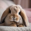 An adorable bunny with soft fur, grooming itself with delicate care1