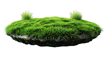 grass green circle land ground floor garden or garden earth soil land layer and green grass floor circle section land isolated on white background