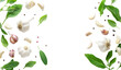 Top view of garlic and leaves on white background