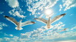seagulls flying on the sky