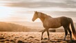 horse abstract magical animal background with mare stallion wallpaper generative ai