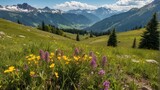 Fototapeta Natura - Alpine meadow with colorful flowers and peaks