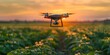 Precision Drone Mapping for Eco Friendly Agricultural Applications at Sunset