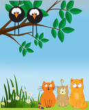 Fototapeta  - composition with cats that sit and watch birds that sit on a branch
