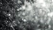 Gray bokeh out of focus background from nature forest gray abstract bokeh background from nature environment for your text ,Bokeh of white snow on a gray background. Snowfall - new design element.
