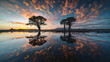 Beautiful sunrise landscape scenery, Madagascar. baobab trees reflected in water, nature background, wallpaper