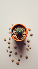 Wall Mural - Green cactus potted plant