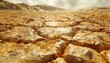 Dry Desert, Emphasize the extreme dryness of desert environments with images of cracked mud flats, dried-up riverbeds, and barren salt flats