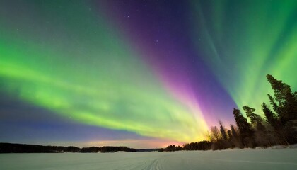 Wall Mural - magical winter night with green and purple northern lights low angle view highlights celestial display against snowy landscape enhanced by a defocused aura made with generative ai technology
