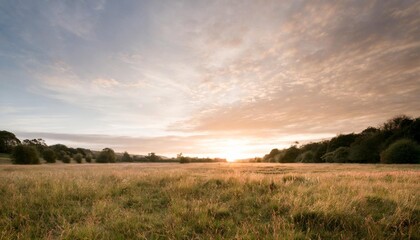 Sticker - a tranquil meadow at dawn