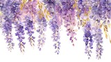 Fototapeta Kwiaty - Watercolor wisteria clipart with cascading purple blooms.