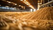 Storing Grains for Animal Feed Production in a Large Agricultural 
