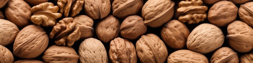 Fresh walnuts in a shell close-up. The background is made of nuts.