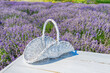 White basket on lavender field