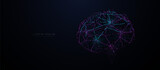 Fototapeta Łazienka - Human brain with blue and purple neural connection lines and glowing. Colorful brain. Vector Illustration
