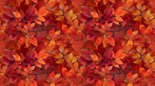 A Close Up Of A Red Leafy Tree With Many Leaves. The Leaves Are Orange And The Tree Is Full Of Them
