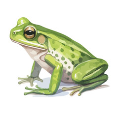 Wall Mural - Watercolor painting vector of a frog, isolated on a white background, frog vector, clipart Illustration, Graphic logo, drawing design art, clipart image