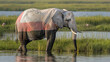 A large elephant is walking through a grassy area near a body of water