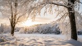 Fototapeta Natura - frost and snow on branches beautiful winter seasonal background photo of frozen nature